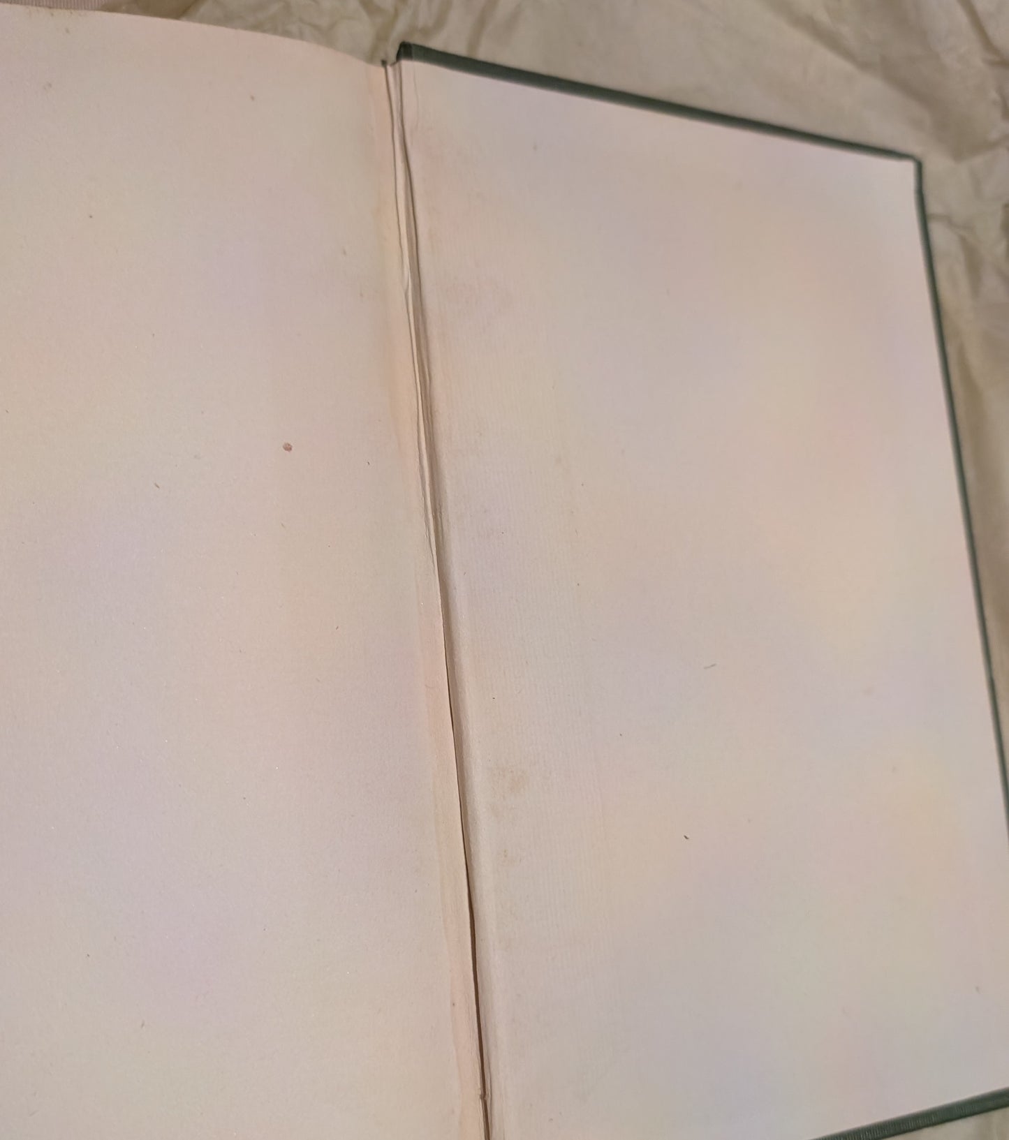 The Marble Faun, 1888, Nathaniel Hawthorne