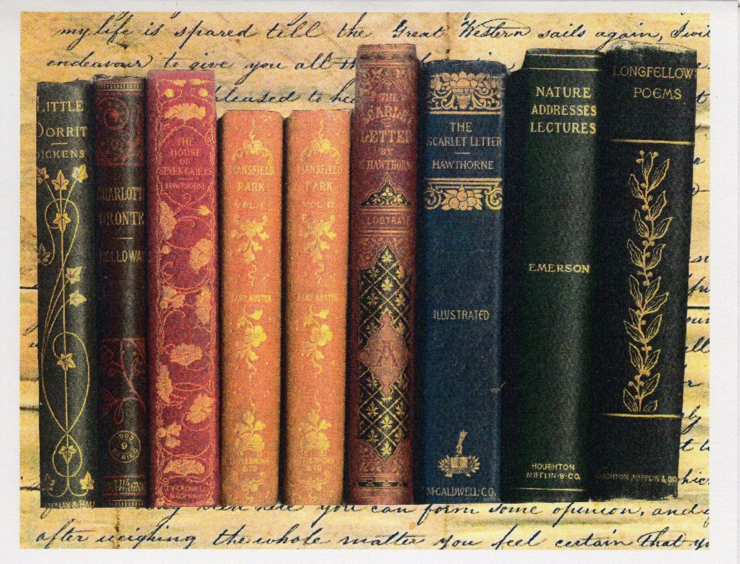 Library Book Spines Note Card