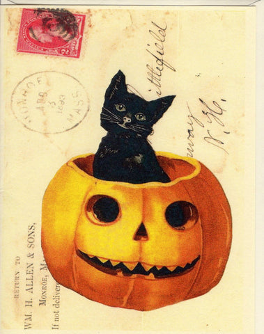 Black Cat in Pumpkin Note Card