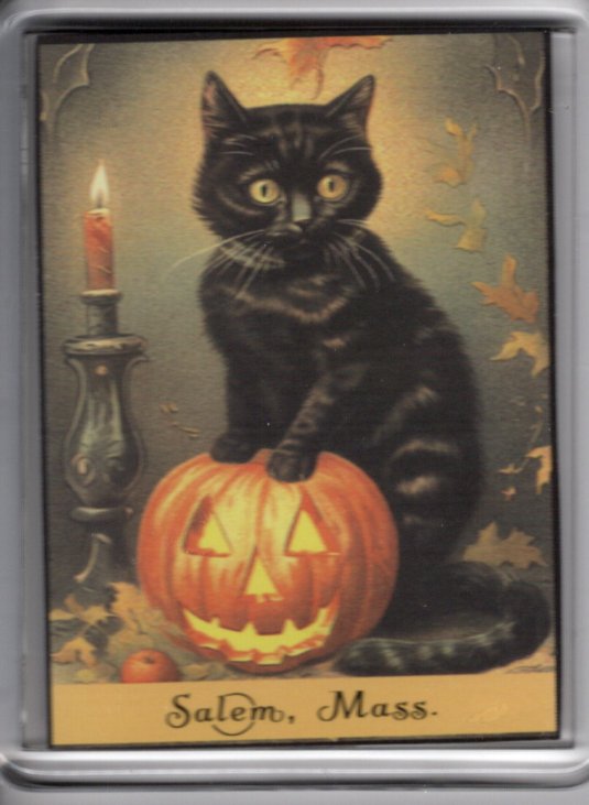 Black Cat by Candlelight Magnet