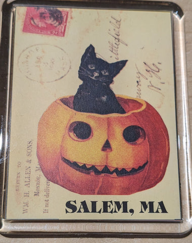 Black Cat in Pumpkin Large Acrylic Magnet