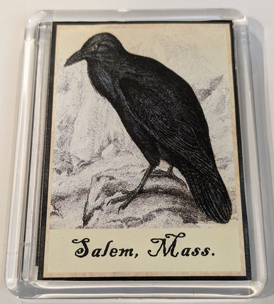 RAVEN ~ SALEM, MASS Large Magnet