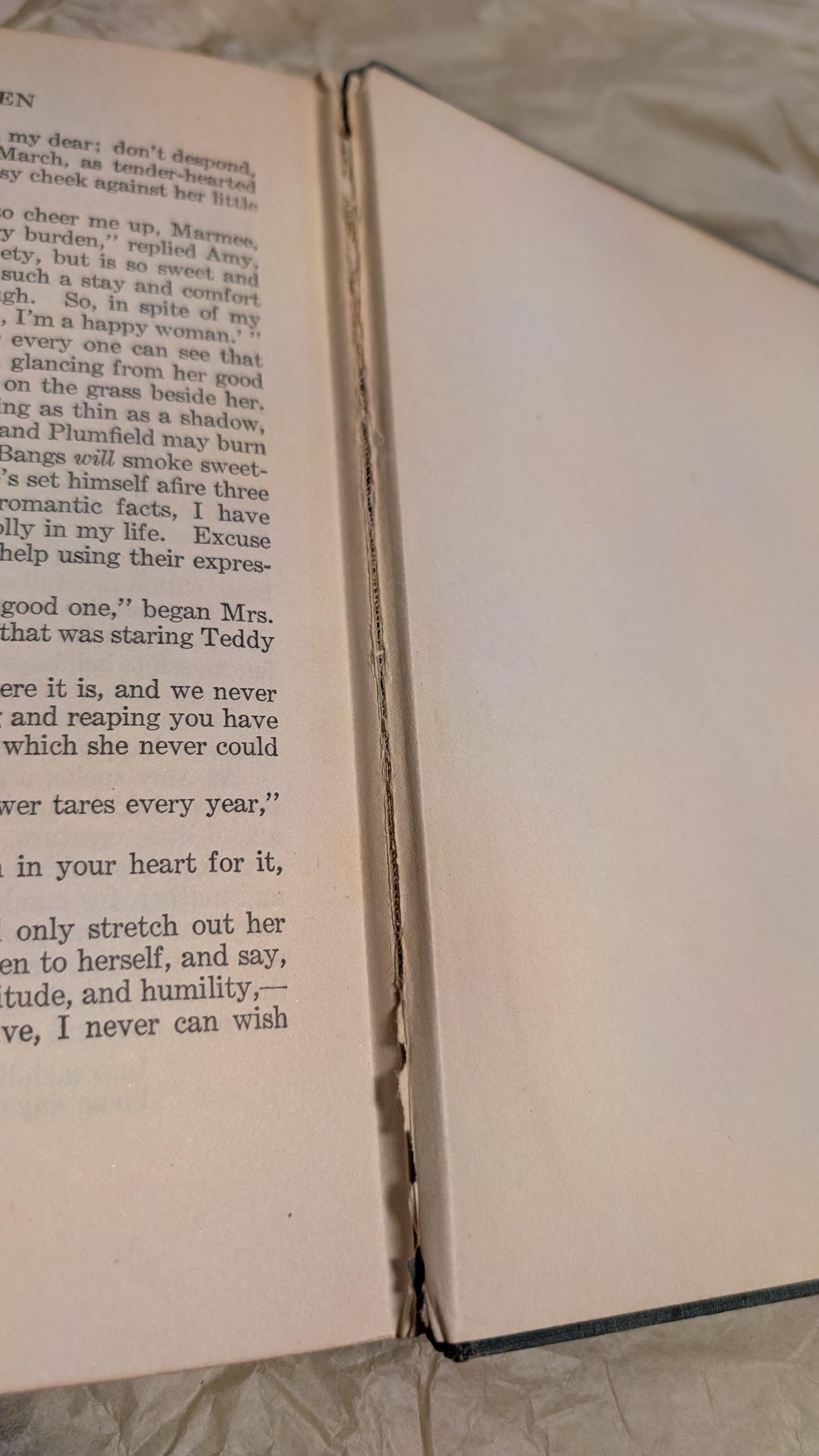 Little Women 1926 Illustrated, Chicago : L.M. Alcott