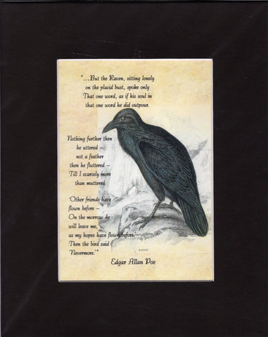 Poe's The Raven Print Matted print : 5x7 in 8x10