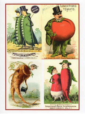 Vegetable Society Collage Card