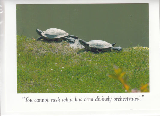 "You cannot rush what has been divinely orchestrated" Channeled Angel Message Card
