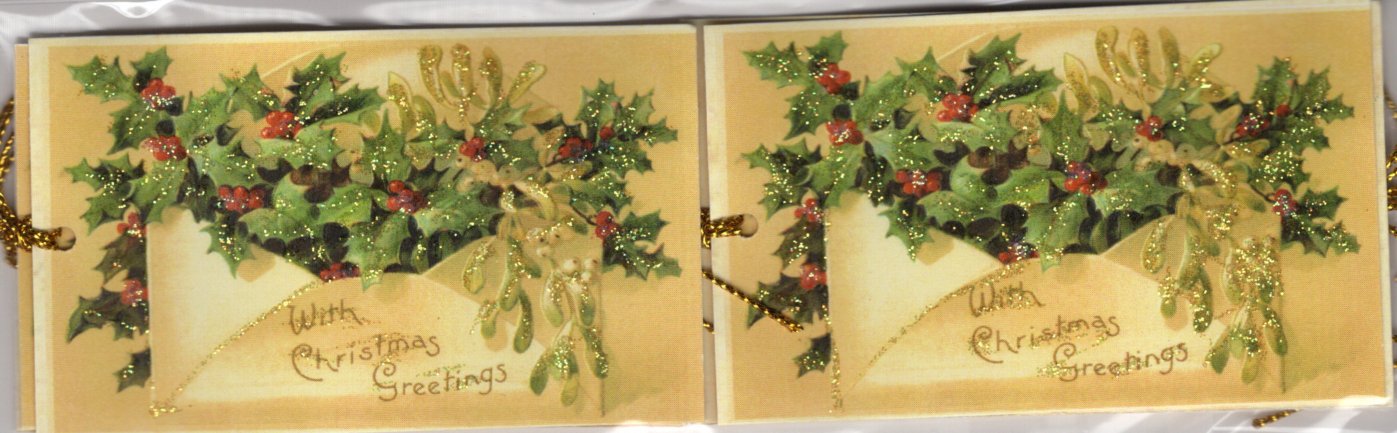 Christmas Greetings Holly Tags-6 pk : glittered