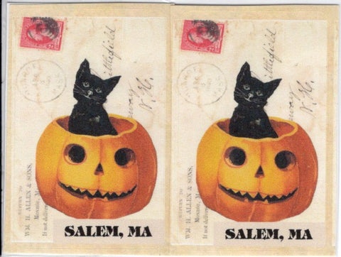 Black Cat in Pumpkin Stickers ~ Pack of 4