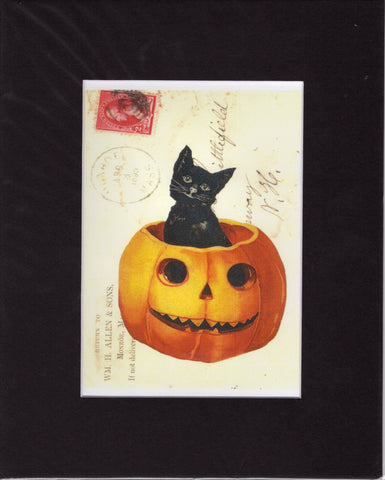Black Cat in Pumpkin Matted Print : 5x7 in 8x10 Black Mat