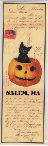Black Cat in Pumpkin Salem, MA Bookmark