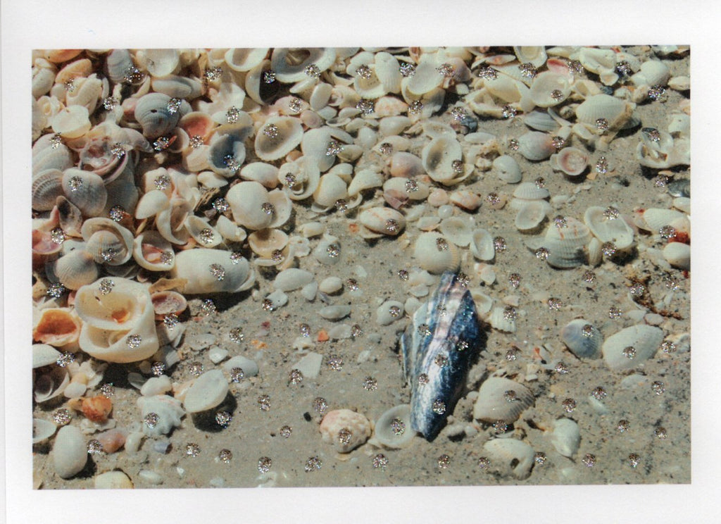 Abalone & Beach Shells Glitter Photograph Card : 5x7 blank