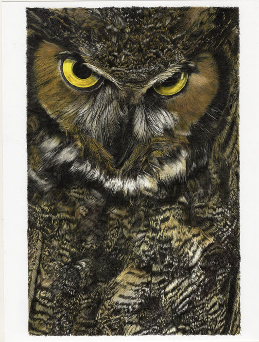 GREAT HORNED OWL Artist Print-JulieCollier : hand drawn p