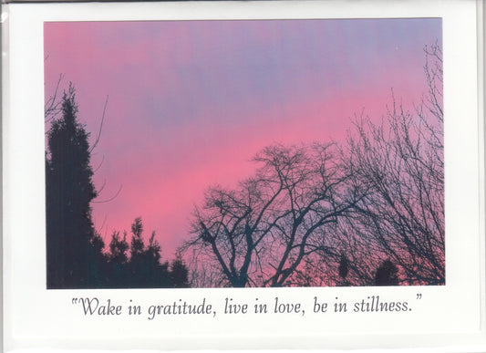 "Wake in gratitude, live in love, be in stillness" Channeled Angel Message Card