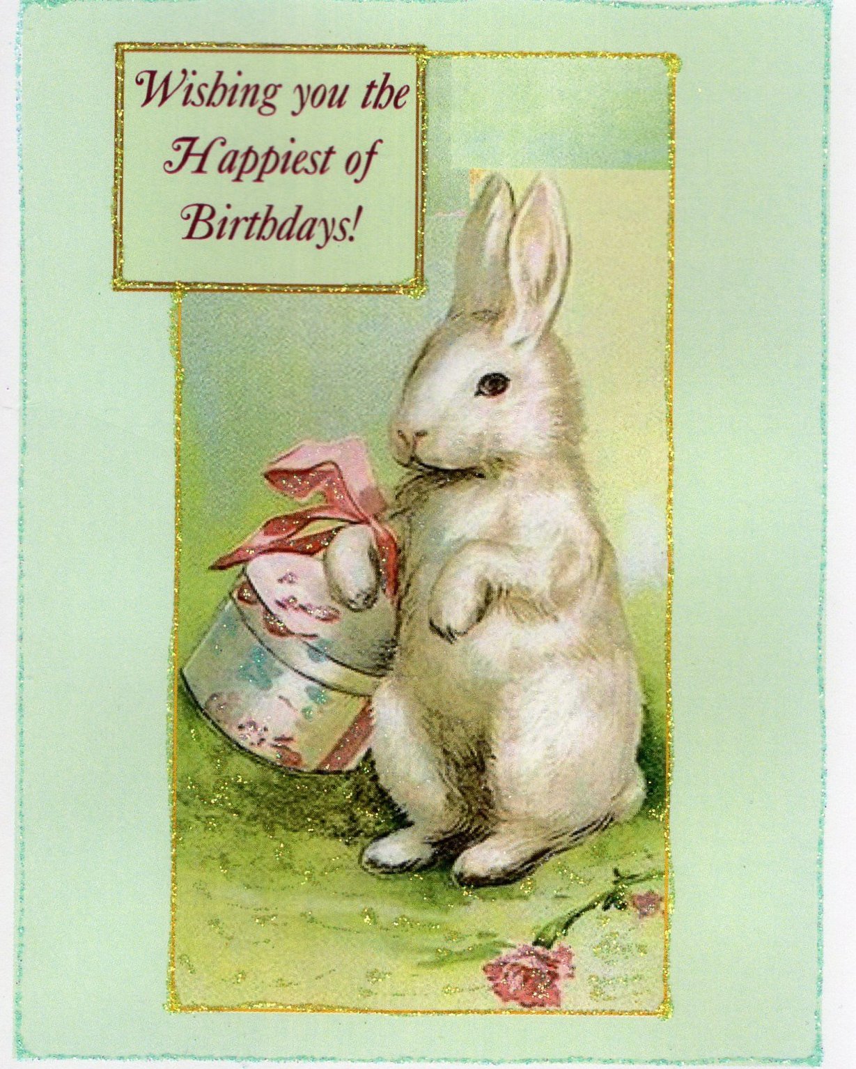Congratulations Rabbit Happy Bunny Birthday Cards