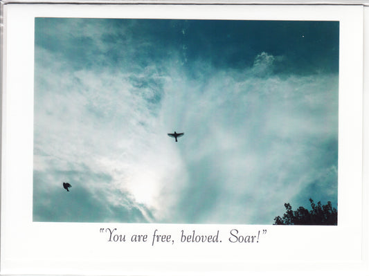 "You are free, beloved. Soar!" Channeled Angel Message Card