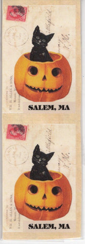 Black Cat in Pumpkin Sticker Pack