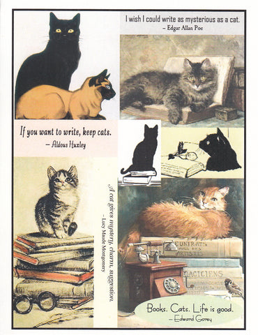 Books. Cats. Collage Note Card