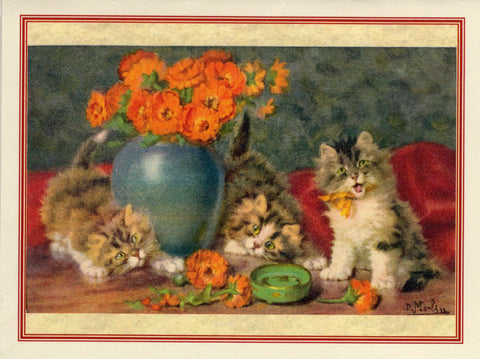 Kitties & Orange Flowers Note Card