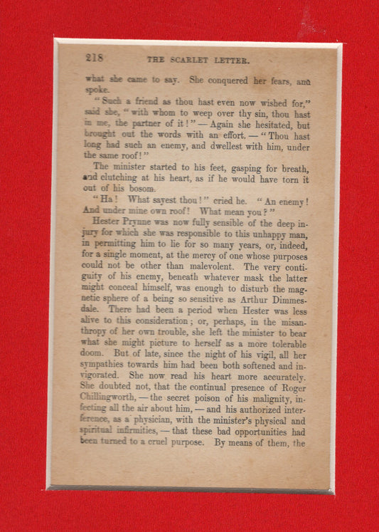 The Scarlet Letter ~ Page from 1890s Printing