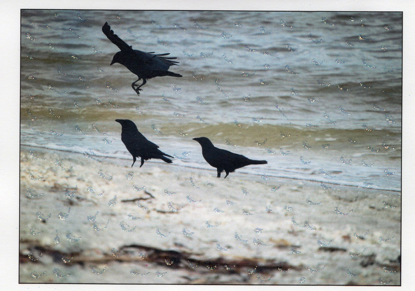 Beach Ravens Photo Glitter Card