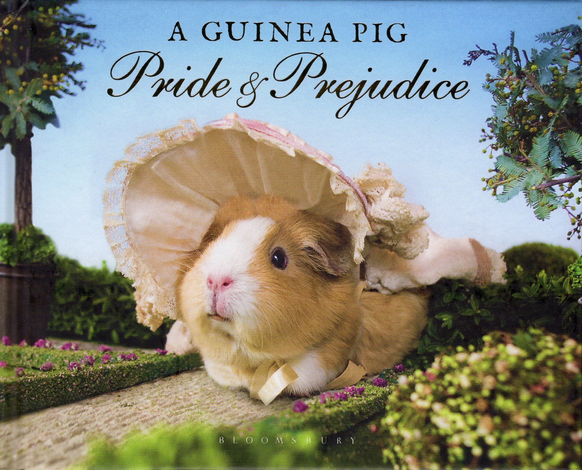 A　Marble　Gifts　PRIDE　Guinea　–　PREJUDICE　Faun　Books　Pig　The