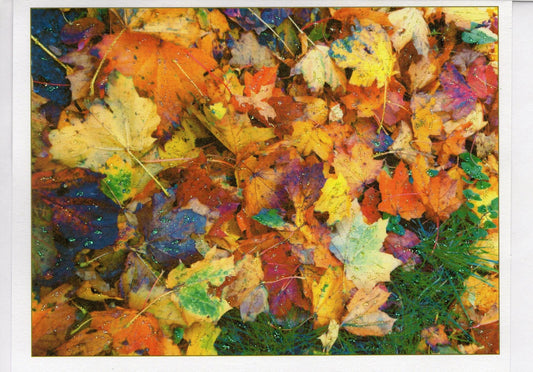 Fall Leaves Medley Photo Card