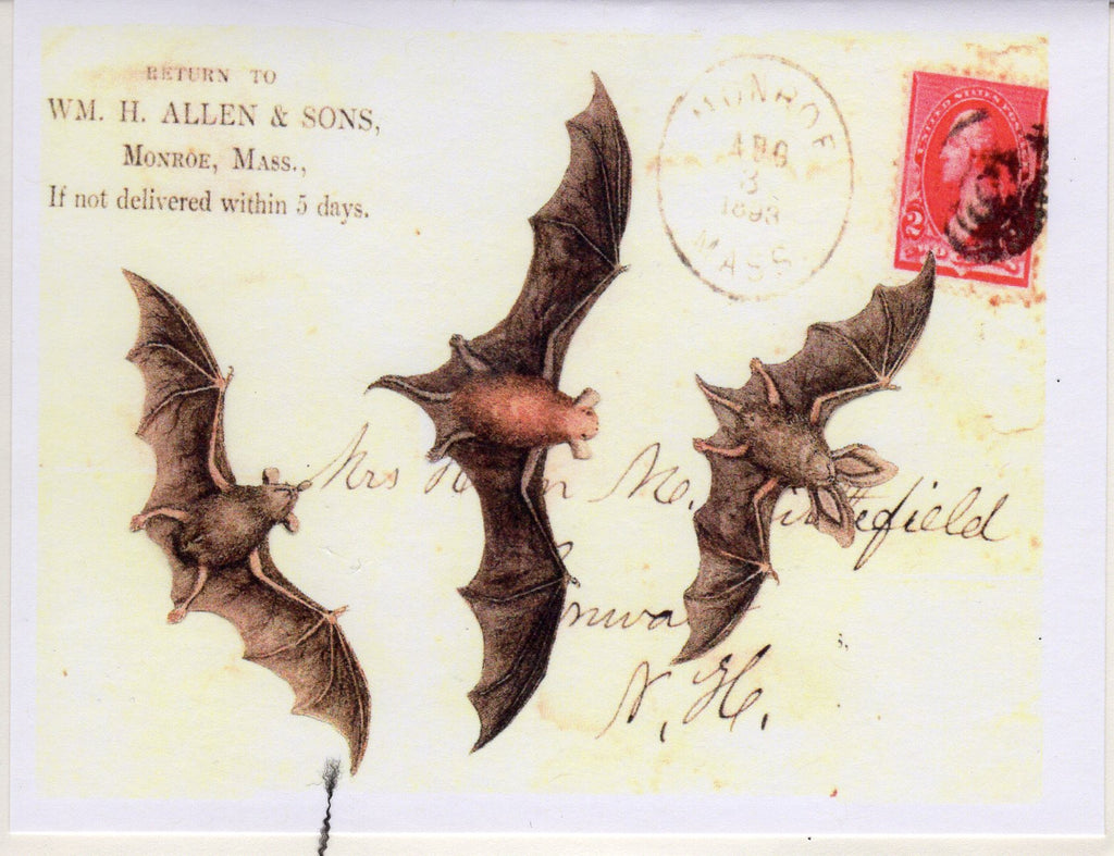 Victorian Bats Ephemera Note Card